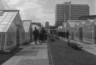 Kassen op het Floriadeterrein bij Boijmans van Beuningen